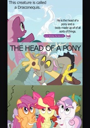Size: 640x907 | Tagged: safe, artist:vanderlyle, edit, edited screencap, screencap, apple bloom, cheerilee, diamond tiara, discord, scootaloo, silver spoon, snails, snips, sweetie belle, g4, the return of harmony, comic, cutie mark crusaders, facebomb, hub logo, letterboxing, text, you're watching the hub in hd