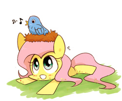 Size: 1200x1000 | Tagged: safe, artist:joycall6, fluttershy, bird, g4, blushing, female, nest, nest hat, solo