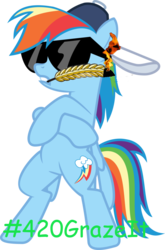 Size: 727x1099 | Tagged: safe, rainbow dash, g4, 420, backwards cutie mark, grazing, hashtag, meme, straw in mouth, wheat