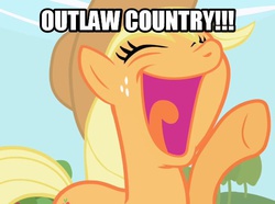 Size: 540x401 | Tagged: safe, applejack, g4, archer (show), country music singer, danger zone, female, image macro, meme, outlaw country, solo