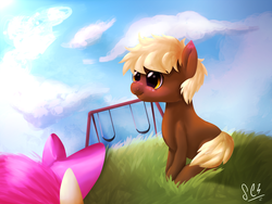 Size: 2400x1800 | Tagged: safe, artist:sparkingcomet, apple bloom, oc, oc:cedar, pony, g4, duo