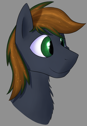 Size: 983x1417 | Tagged: safe, artist:crusierpl, oc, oc only, oc:alone wolf, pony, chest fluff, male, portrait