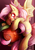 Size: 723x1023 | Tagged: safe, artist:secret-pony, fluttershy, g4, female, flutterbat, solo, that pony sure does love apples