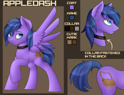 Size: 4300x3300 | Tagged: safe, artist:capseys, oc, oc only, oc:feather freight, pegasus, pony, collar, looking at you, reference sheet, smiling, solo, spread wings, wings