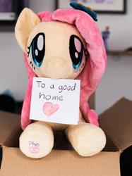 Size: 1280x1707 | Tagged: safe, artist:pheiplushies, fluttershy, pony, g4, adoption, box, cardboard box, cute, flutterbox, heart, irl, mouth hold, note, photo, plushie, pony in a box, shyabetes, solo