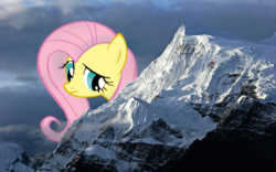 Size: 1024x640 | Tagged: safe, artist:flutterbatismagic, fluttershy, pony, g4, giant pony, hiding, irl, mountain, photo, ponies in real life