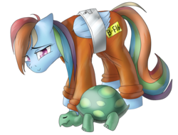 Size: 1024x778 | Tagged: safe, artist:sketchygl, rainbow dash, tank, g4, bittersweet, bound wings, clothes, duo, hibernation, jumpsuit, pet, prison outfit, prisoner, prisoner rd, sad, sleeping