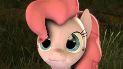Size: 400x226 | Tagged: safe, artist:ferexes, pinkie pie, earth pony, pony, g4, 3d, 60 fps, animated, cute, diapinkes, female, grass, mare, o3o3o, open mouth, scrunchy face, smiling, solo, source filmmaker, vibrating, youtube link