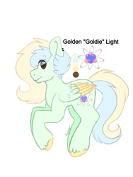 Size: 1024x1365 | Tagged: safe, artist:misocosmis, oc, oc only, oc:golden light, pegasus, pony, solo