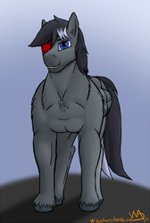 Size: 500x742 | Tagged: safe, artist:widjetarcs, oc, oc only, oc:mixy, pegasus, pony, eyepatch, muscles, solo