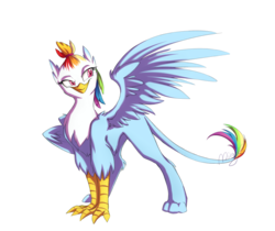 Size: 1600x1347 | Tagged: dead source, safe, artist:mingraine, rainbow dash, griffon, g4, female, griffonized, hairband, rainbow griffon, simple background, smiling, solo, species swap, spread wings, topknot, transparent background
