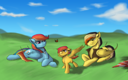 Size: 3350x2109 | Tagged: dead source, safe, rainbow dash, oc, oc:electuroo, oc:spark spectrum, butterfly, g4, canon x oc, family, foal, high res, jewelry, necklace, scenery, shipping