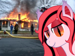 Size: 750x563 | Tagged: dead source, safe, artist:afterman, oc, oc only, oc:arrhythmia, disaster girl, fire, house, meme, solo
