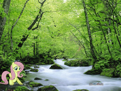 Size: 1024x768 | Tagged: safe, artist:photomix3r, fluttershy, g4, forest, irl, photo, ponies in real life, river, solo, stream, vector