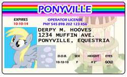 Size: 498x304 | Tagged: safe, derpy hooves, pegasus, pony, g4, female, id card, license, mare, solo