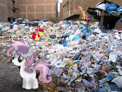 Size: 640x480 | Tagged: safe, artist:scritchy, artist:snoop-pie, artist:theimortalis42, artist:treez123, apple bloom, scootaloo, sweetie belle, g4, cutie mark crusaders, irl, messy mane, outdoors, photo, ponies in real life, shadow, trash, vector