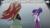 Size: 898x500 | Tagged: safe, edit, edited screencap, screencap, sci-twi, sunset shimmer, twilight sparkle, equestria girls, g4, my little pony equestria girls: friendship games, caption, female, image macro, lesbian, meme, senpai, ship:sci-twishimmer, ship:sunsetsparkle, shipping