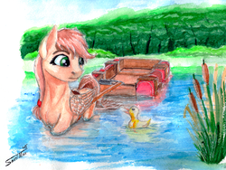 Size: 1600x1200 | Tagged: safe, artist:sa1ntmax, oc, oc only, oc:ayri, duck, pony pulls the wagon, solo, traditional art, water