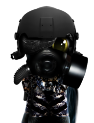 Size: 806x1049 | Tagged: safe, oc, oc only, gas mask, helmet, military