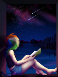 Size: 3000x4000 | Tagged: safe, artist:straythemushroomkid, rainbow dash, human, g4, barefoot, book, clothes, feet, female, humanized, lake, midriff, night, reflection, scenery, shooting star, shorts, solo, stars, tank top