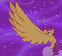 Size: 333x300 | Tagged: safe, screencap, scootaloo, pegasus, pony, do princesses dream of magic sheep, g4, alicorn wings, cropped, dream, female, filly, flying, foal, impossibly large wings, large wings, night, solo, wings