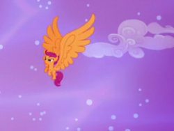 Size: 266x200 | Tagged: safe, screencap, scootaloo, pegasus, pony, do princesses dream of magic sheep, g4, alicorn wings, cropped, dream, female, filly, foal, large wings, overcompensation, solo, wings