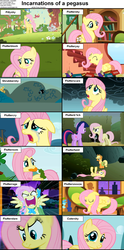 Size: 1282x2590 | Tagged: safe, edit, edited screencap, screencap, applejack, fluttershy, twilight sparkle, bird, blue jay, earth pony, pegasus, pony, rabbit, squirrel, a bird in the hoof, dragonshy, g4, hurricane fluttershy, keep calm and flutter on, sonic rainboom (episode), stare master, the cutie mark chronicles, the return of harmony, the ticket master, blushing, caption, carrot, compilation, crying, cs captions, cute, discorded, earth pony fluttershy, earth pony twilight, female, filly, floppy ears, flutterbitch, fluttercry, flutterrage, flutteryay, foal, hiding, house finch, incarnations of, mare, mouth hold, nom, on back, pun, race swap, scared, shyabetes, sleeping, yay
