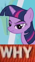 Size: 170x296 | Tagged: safe, twilight sparkle, g4, frown, glare, meme, reaction, text, tony kornheiser, why, why.jpg