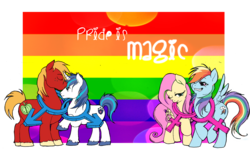 Size: 2052x1281 | Tagged: safe, artist:flutterdashwhore, big macintosh, fluttershy, rainbow dash, shining armor, earth pony, pegasus, pony, unicorn, g4, adultery, backwards cutie mark, female, gay, gay pride, gay pride flag, infidelity, lesbian, male, mare, pride, ship:flutterdash, ship:shiningmac, shipping, stallion