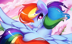 Size: 1500x909 | Tagged: safe, artist:chocokangoo, part of a set, rainbow dash, pegasus, pony, g4, female, flying, mare, smiling, solo