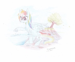 Size: 1024x846 | Tagged: safe, artist:pixernosse, rainbow dash, g4, female, solo, traditional art, water