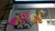 Size: 1280x720 | Tagged: safe, artist:2ju, applejack, fluttershy, g4, flutterbat, food chain, hunting, perler beads