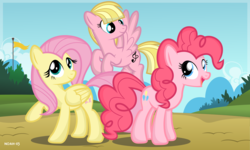 Size: 3750x2250 | Tagged: safe, artist:noah-x3, fluttershy, pinkie pie, g4, andrea libman, cute, fanart, high res, ponified, show accurate, vector