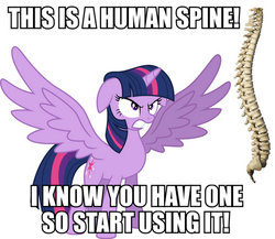 Size: 577x500 | Tagged: safe, twilight sparkle, alicorn, pony, g4, angry, female, image macro, mare, meme, spine, twilight sparkle (alicorn)