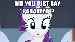 Size: 610x343 | Tagged: safe, rarity, parakeet, g4, homestar runner, image macro, meme, quote, reference