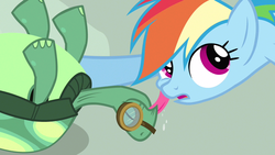 Size: 1280x720 | Tagged: safe, screencap, rainbow dash, tank, g4, just for sidekicks