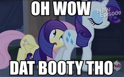 Size: 641x400 | Tagged: safe, edit, edited screencap, screencap, fluttershy, rarity, g4, booty had me like, caption, dat booty, female, image macro, lesbian, looking at butt, meme, ship:flarity, shipping, tell me your secrets
