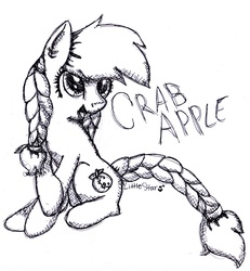 Size: 3001x3254 | Tagged: safe, artist:cupcakethemasked, oc, oc only, oc:crab apple, braid, high res, traditional art
