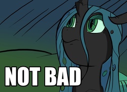 Size: 1100x800 | Tagged: safe, artist:flutteriot, edit, queen chrysalis, g4, female, image macro, meme, not bad, reaction image, solo