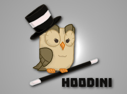 Size: 526x390 | Tagged: safe, artist:ljdamz1119, owlowiscious, bird, owl, g4, hoodini, joke, magician, male, pun, solo, straight, vanossgaming