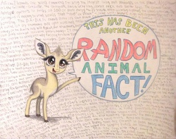Size: 1008x793 | Tagged: safe, artist:thefriendlyelephant, oc, oc only, oc:kekere, antelope, dik dik, animal in mlp form, cloven hooves, cute, facts, fluffy, solo, speech bubble, text, traditional art, wall of text