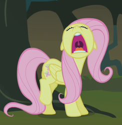 Size: 309x316 | Tagged: safe, screencap, fluttershy, g4, stare master