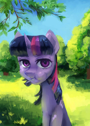 Size: 2457x3456 | Tagged: safe, artist:my-magic-dream, twilight sparkle, g4, candy, female, food, high res, lollipop, solo