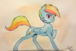 Size: 2589x1759 | Tagged: safe, artist:captainpudgemuffin, rainbow dash, g4, chest fluff, cute, dashabetes, female, fluffy, pose, raised eyebrow, raised hoof, solo, traditional art