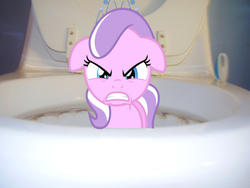 Size: 900x675 | Tagged: safe, diamond tiara, earth pony, pony, g4, but why, imminent flush, irl, photo, ponies in real life, tiarabuse, toilet, wat