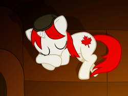 Size: 1600x1200 | Tagged: safe, artist:bootsyslickmane, oc, oc only, oc:canadance, beanie, canada, canadian, couch, hat, nation ponies, sleeping