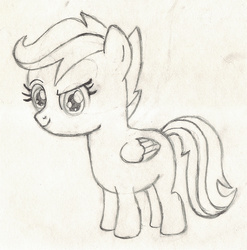 Size: 1977x2003 | Tagged: safe, artist:chronicle23, scootaloo, pegasus, pony, g4, female, filly, monochrome, solo, traditional art