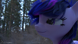 Size: 1280x720 | Tagged: safe, artist:skunkfrakker, twilight sparkle, g4, 3d, cg, explicit source, female, forest, mane, on side, solo