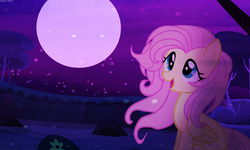 Size: 1500x900 | Tagged: safe, artist:asika-aida, fluttershy, g4, female, night, solo