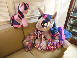 Size: 1280x960 | Tagged: artist needed, safe, twilight sparkle, equestria girls, g4, collection, doll, irl, multeity, photo, plushie, sparkle sparkle sparkle, twilight sparkle (alicorn)